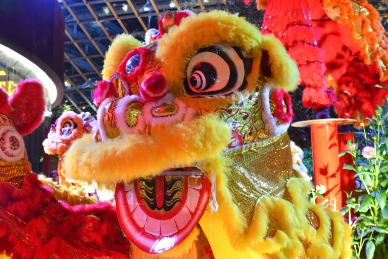Macao Asia lion dance and dragon dance competition